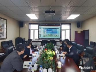 吉林省中吉鹿农业发展有限公司领导来鹿乡镇洽谈项目